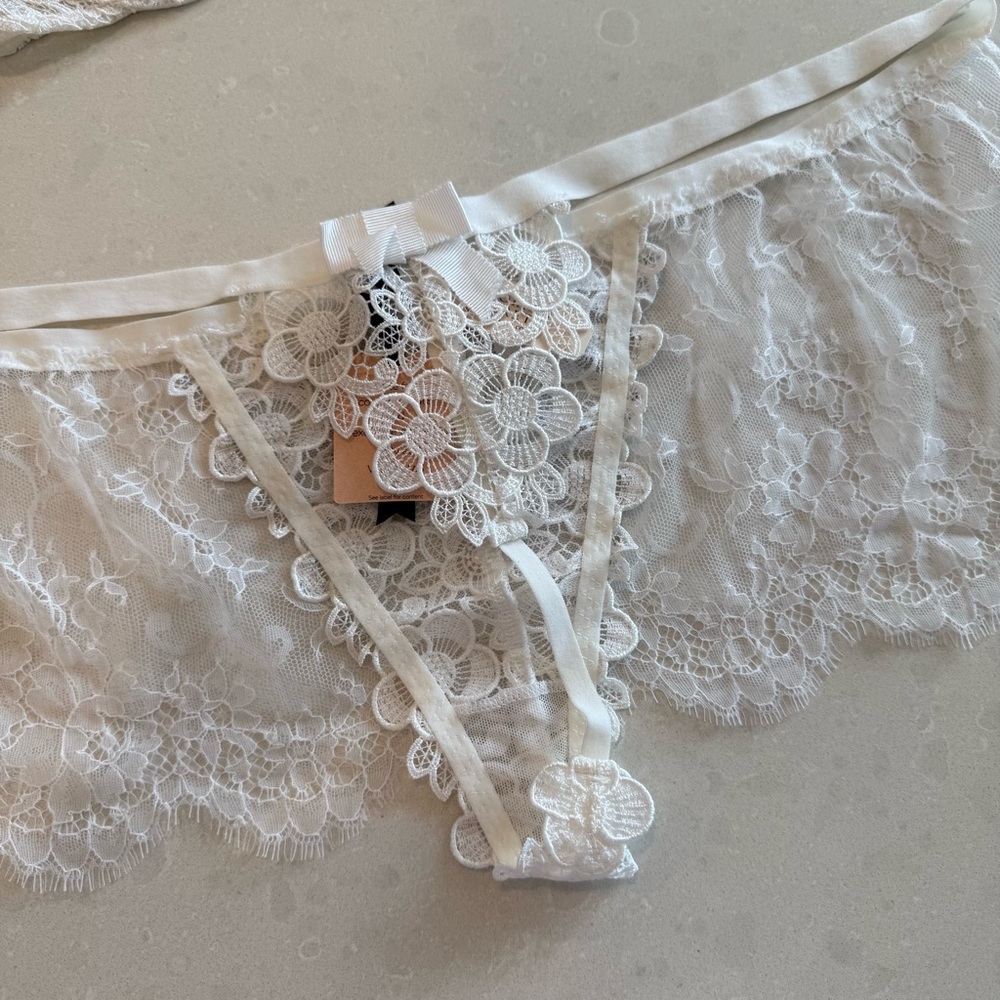 Victoria's Secret Designer Fashion Show 2015 Swarovski Crystal Bra & L Panty Set - Picture 12 of 16